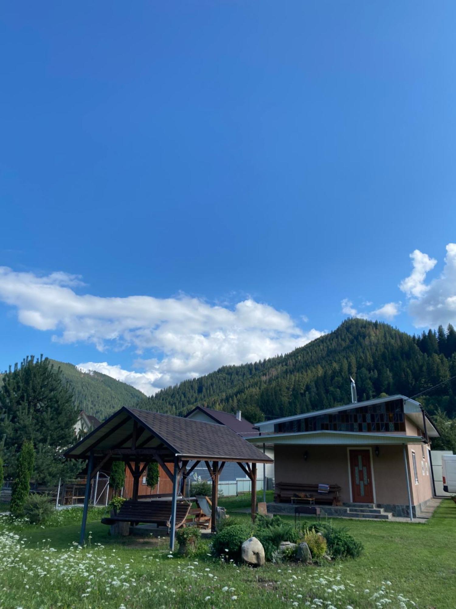 затишний будиночок біля річки Holiday home Krivorovnya